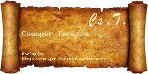 Csenger Terézia névjegykártya